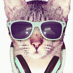 Meet your Posher, Drake